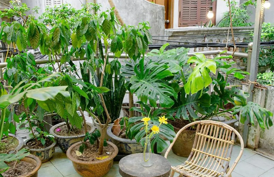 Sisan Home 294 Kim Mã Ban công thư giãn-1